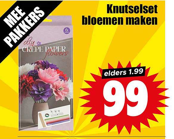 Knutselset bloemen maken