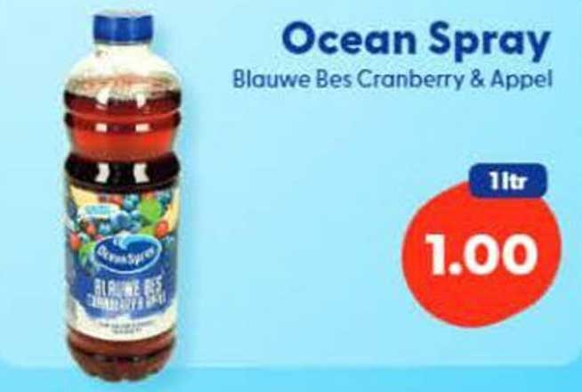 Ocean Spray Blauwe Bes Cranberry & Appel 1ltr