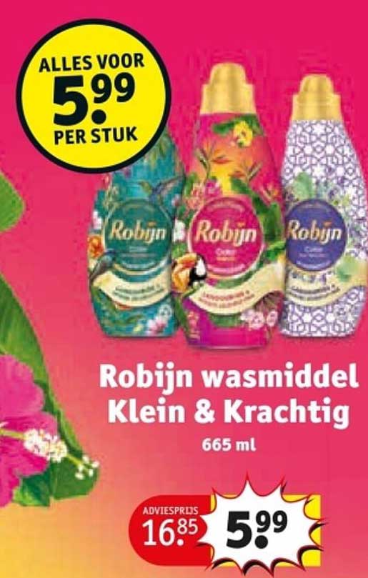 Robijn wasmiddel Klein & Krachtig 665 ml