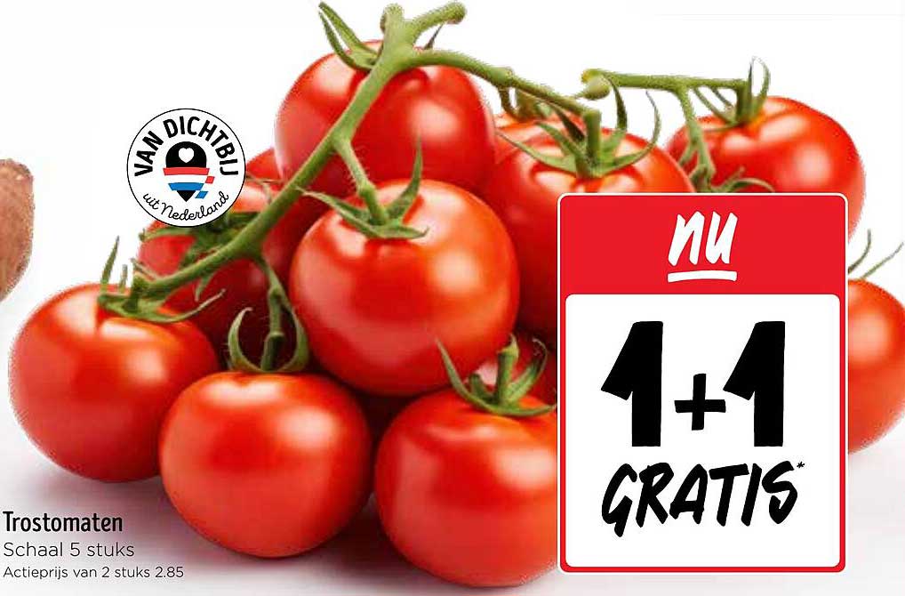 Trostomaten Schaal 5 stuks