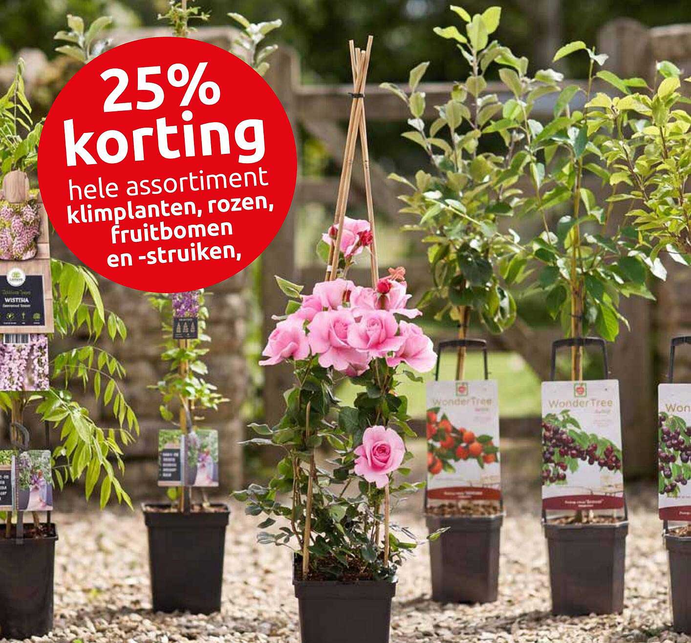 25% korting hele assortiment klimplanten, rozen, fruitbomen en -struiken