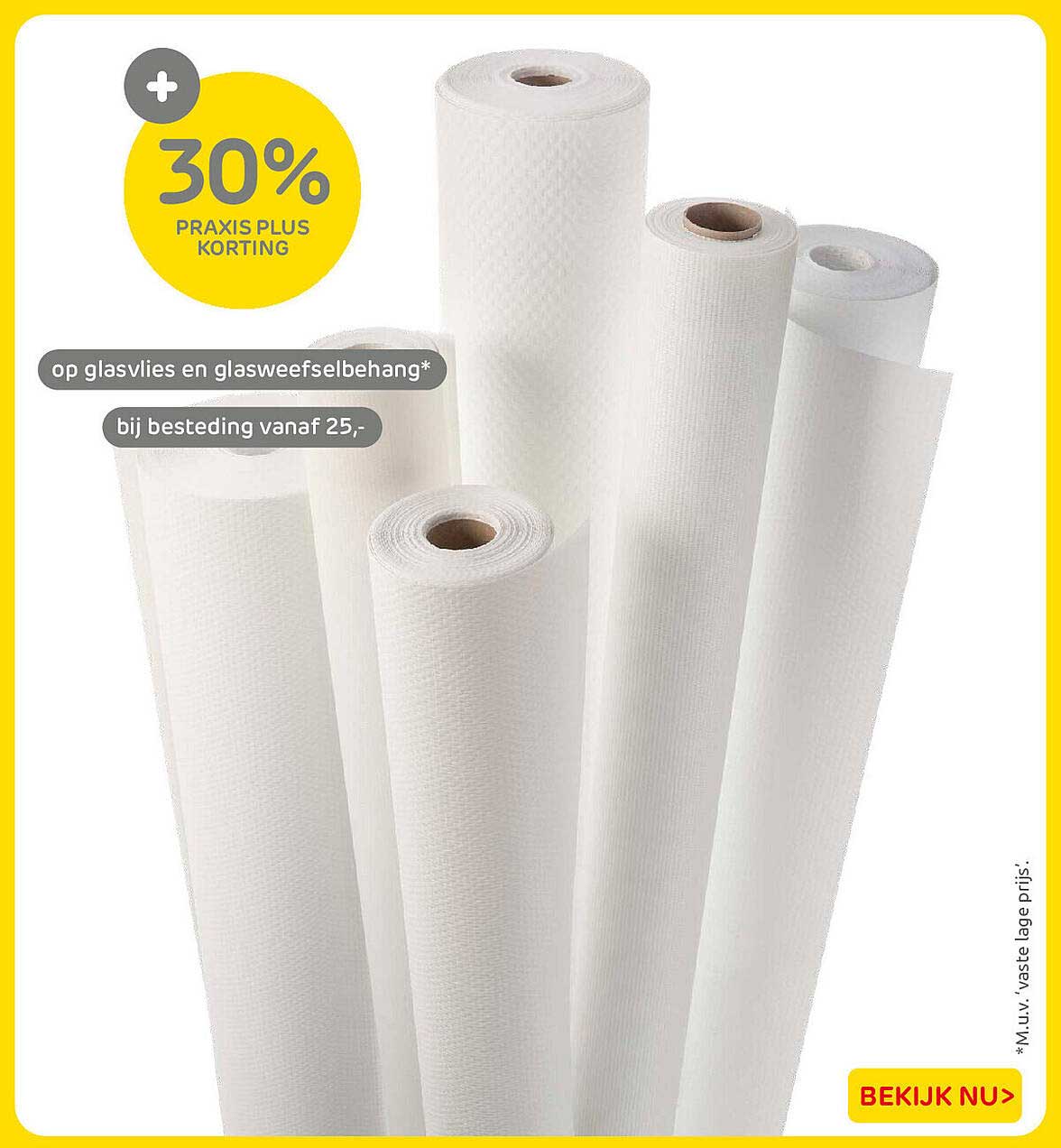 30% Praxis Plus korting op glasvlies en glasweefselbehang*