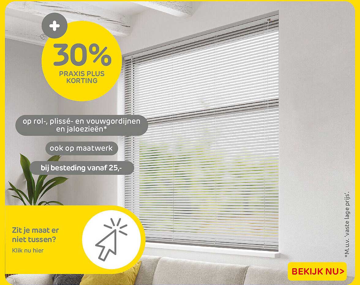 30% PRAXIS PLUS KORTING op rol-, plissé- en vouwgordijnen en jaloezieën*