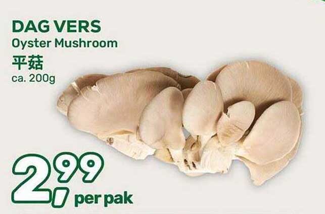 DAG VERS Oyster Mushroom 平菇 ca. 200g