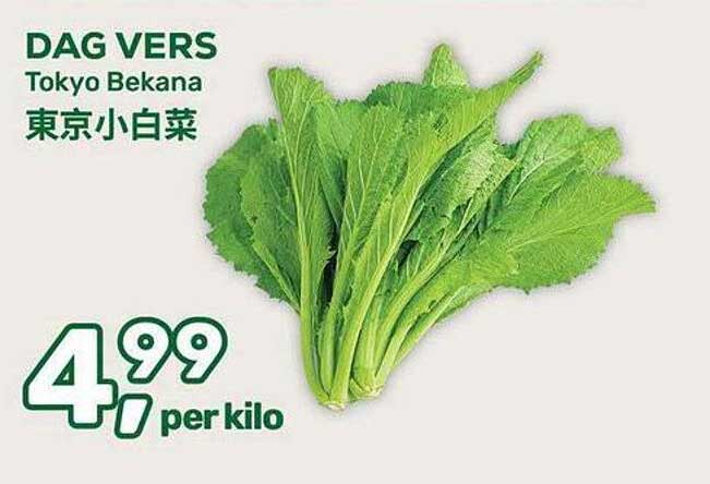 DAG VERS Tokyo Bekana
