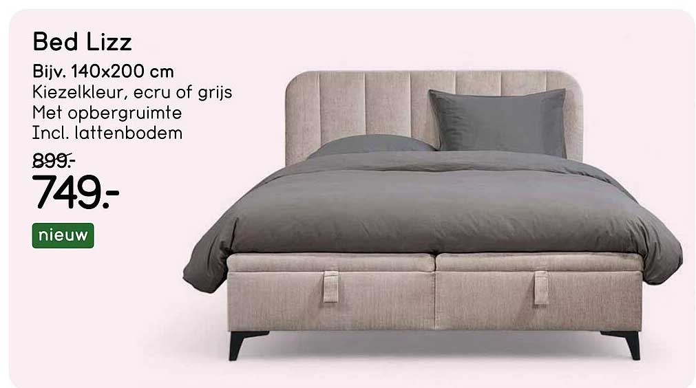 Bed Lizz