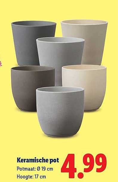 Keramische pot