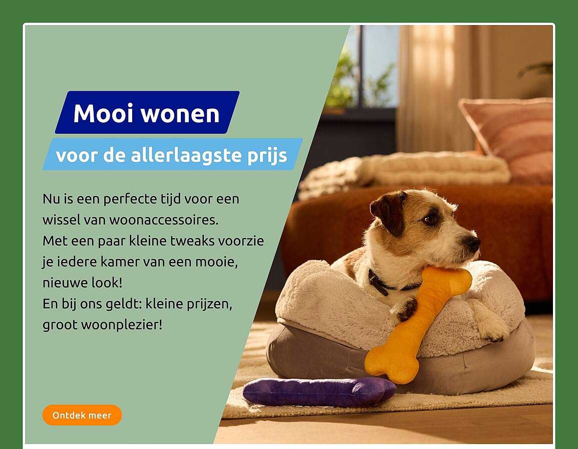 Mooi wonen voor de allerlaagste prijs