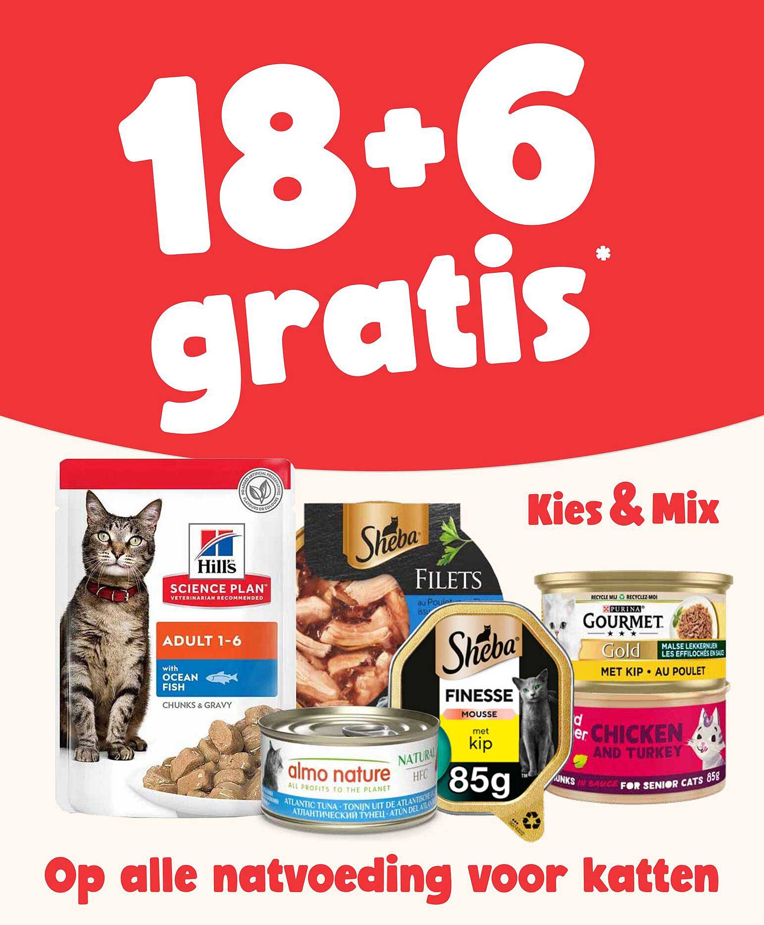 18+6 gratis