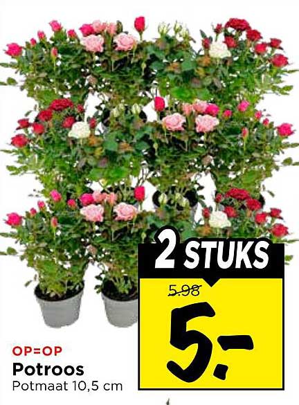 2 stuks Potroos Potmaat 10,5 cm