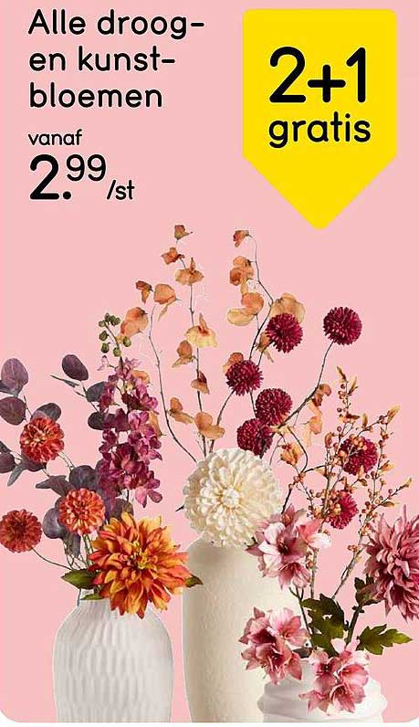 Alle droog- en kunst-bloemen 2+1 gratis