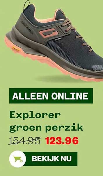 ALLEEN ONLINE Explorer groen perzik