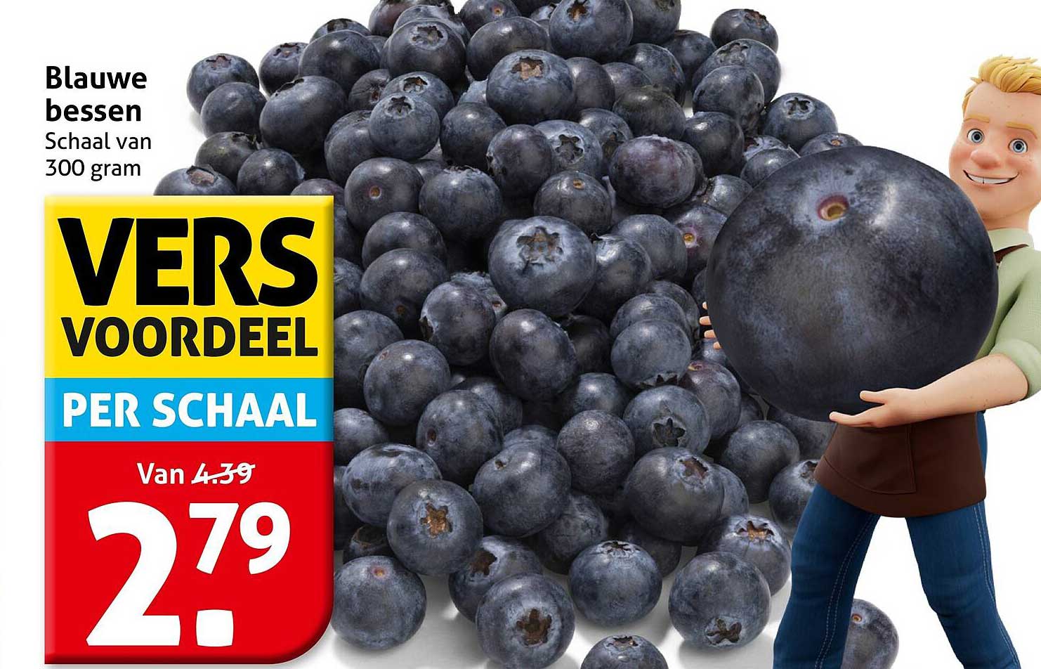 Blauwe bessen Schaalt van 300 gram VERS VOORDEEL PER SCHAAL