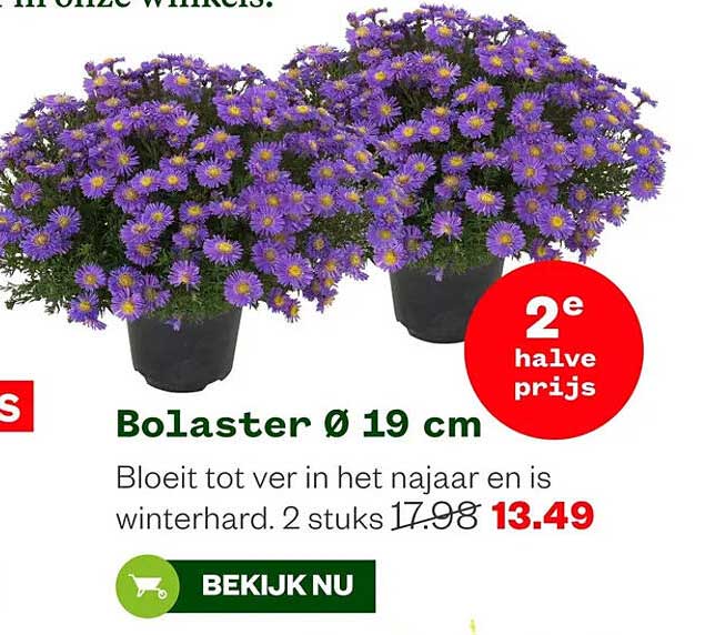 Bolaster Ø 19 cm 2e halve prijs