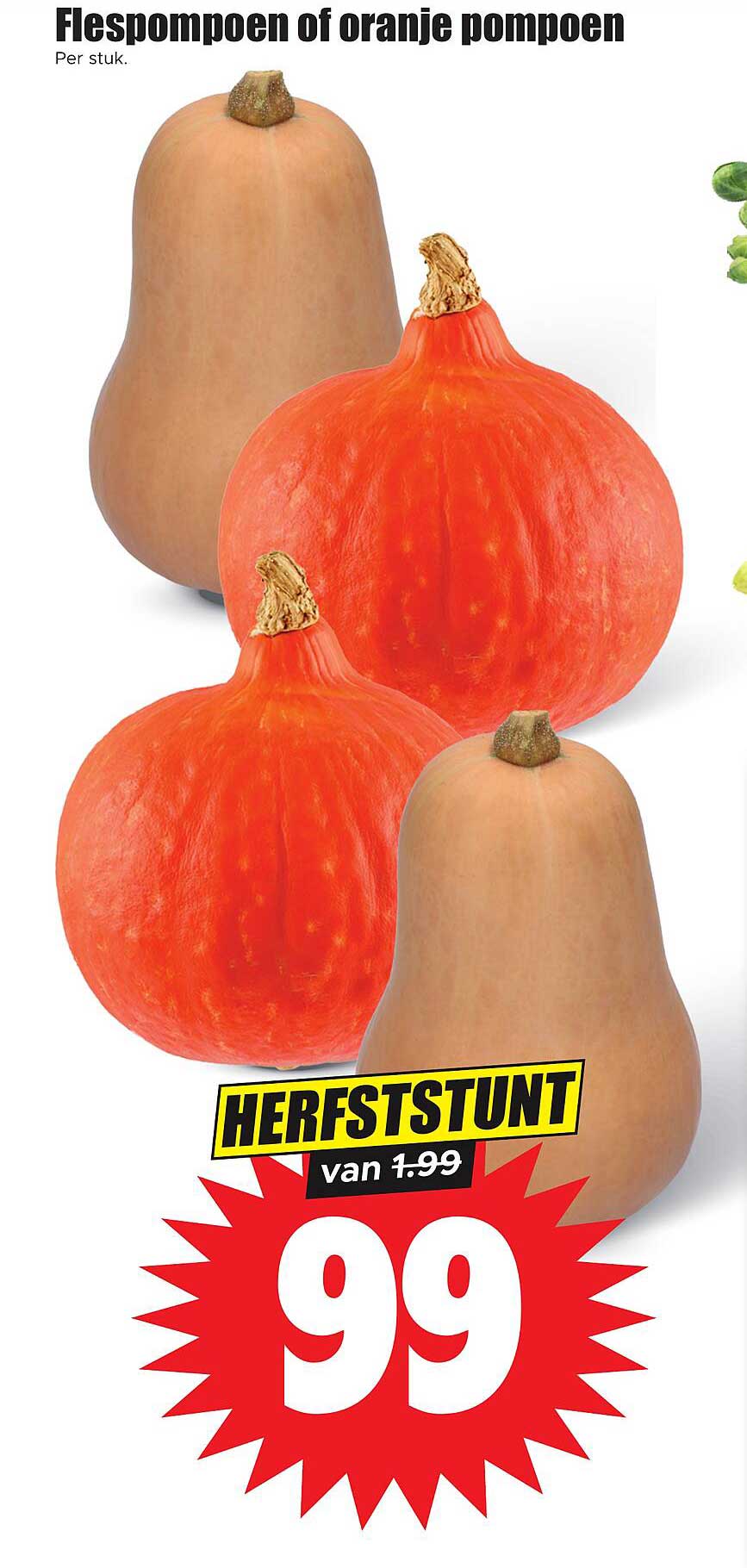 Flespompoen of oranje pompoen HERFSTSTUNT