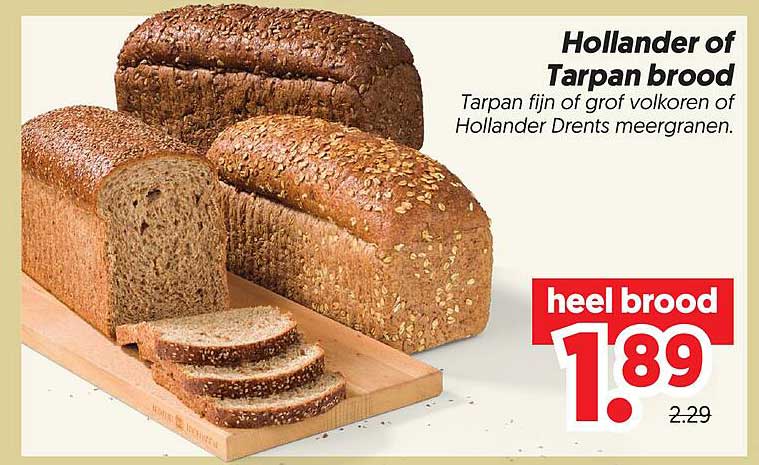 Hollander of Tarpan brood