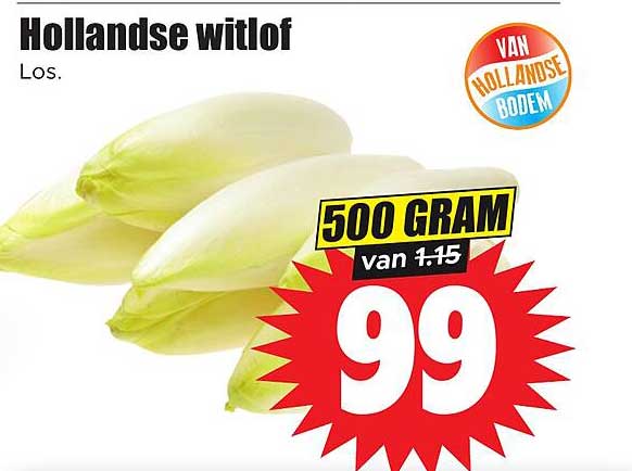Hollandse witlof Los. 500 gram van 1.15 99