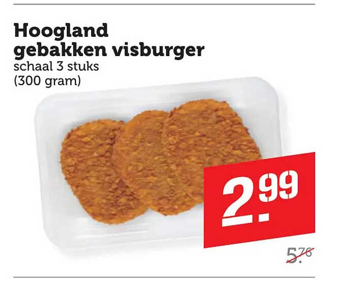 Hoogland gebakken visburger schaal 3 stuks (300 gram)