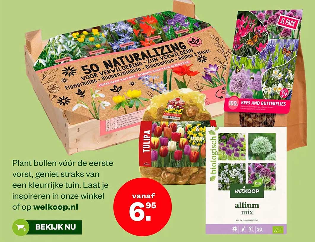 Plant bollen vóór de eerste vorst, geniet straks van een kleurrijke tuin. Laat je inspireren in onze winkel of op welkoop.nl