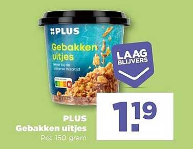 PLUS Gebakken uitjes