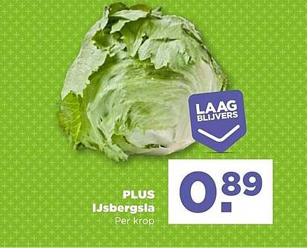 PLUS IJsbergsla Per krop