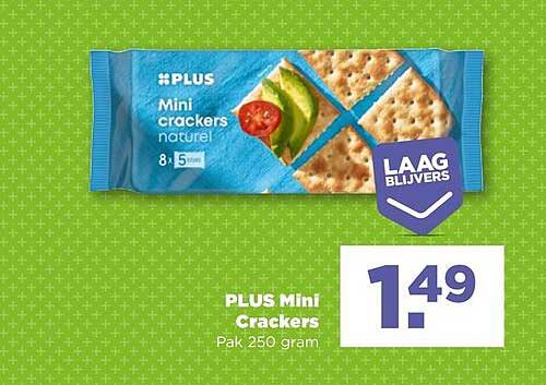 PLUS Mini Crackers naturel 8x5 stuks