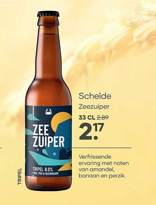 Schelde Zeezuiper