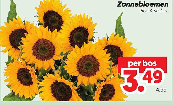 Zonnebloemen Bos 4 stelen