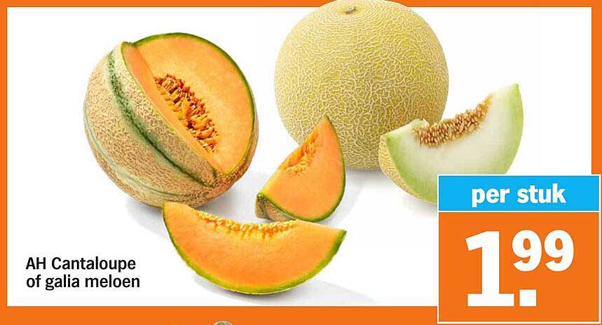 AH Cantaloupe of galia meloen