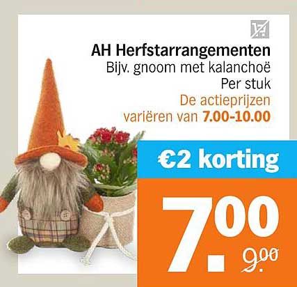AH Herfstarrangementen Bijv. gnoom met kalanhoë Per stuk