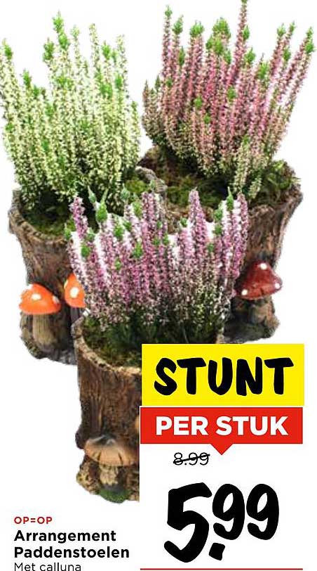 Arrangement Paddenstoelen Met calluna