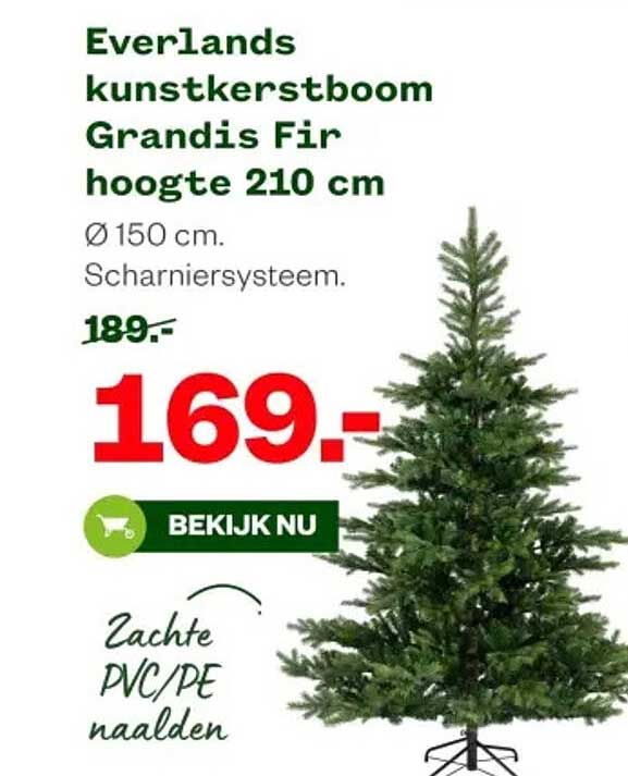 Everlands kunstkerstboom Grandis Fir hoogte 210 cm