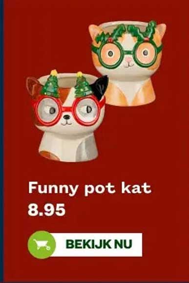 Funny pot kat
