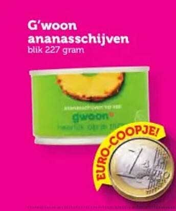 G'woon ananasschijven blik 227 gram