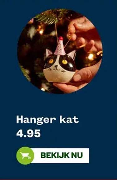 Hanger kat