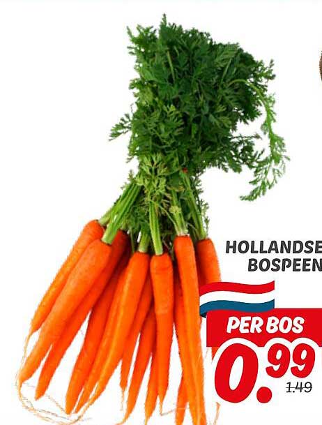 HOLLANDSE BOSPEEN