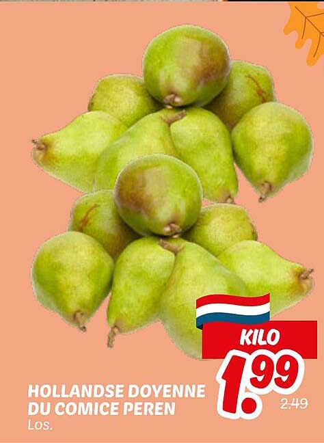HOLLANDSE DOYENNE DU COMICE PEREN