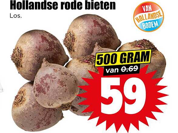 Hollandse rode bieten