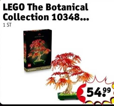 LEGO The Botanical Collection 10348