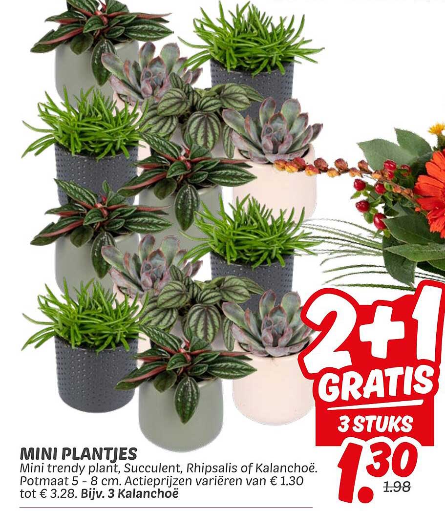 MINI PLANTJES