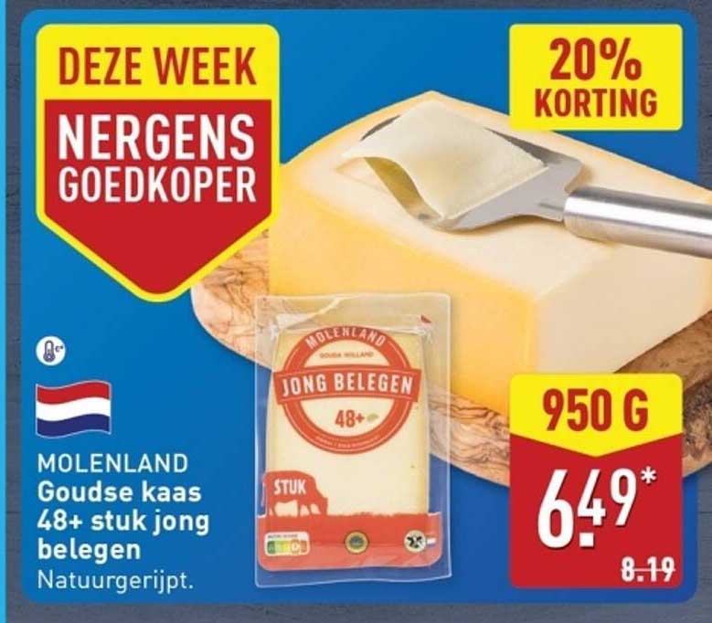 MOLELAND Goudse kaas 48+ stuk jong belegen