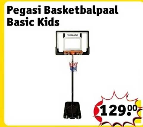 Pegasi Basketbalpaal Basic Kids