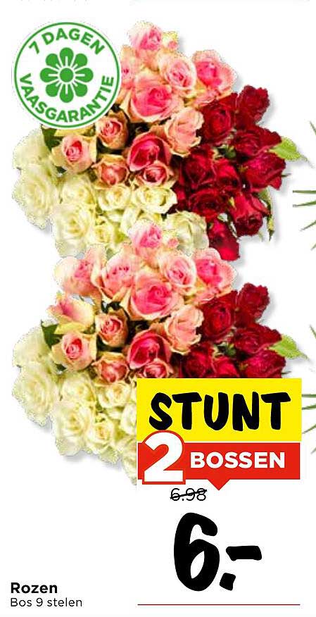 Rozen Bos 9 steken