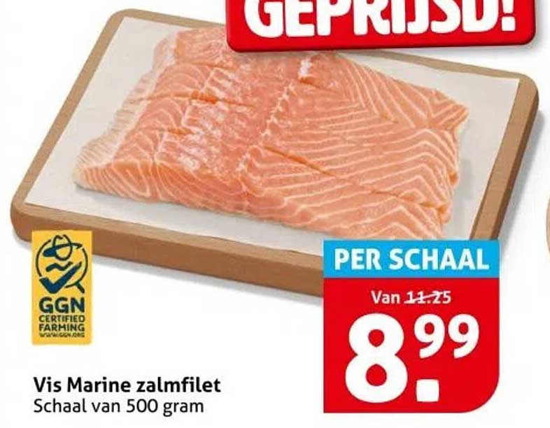 Vis Marine zalmfilet