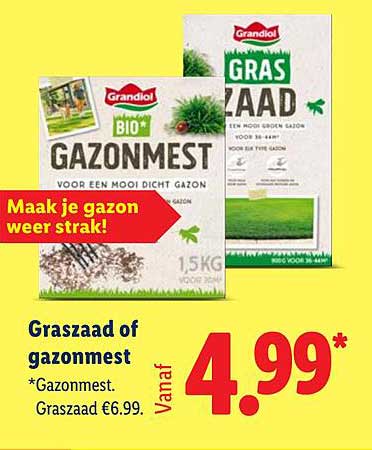 Graszaad of gazonmest