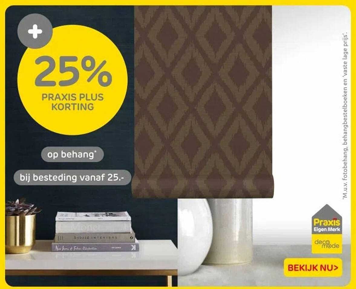 25% PRAKIS PLUS KORTING op behang bij besteding vanaf 25.-