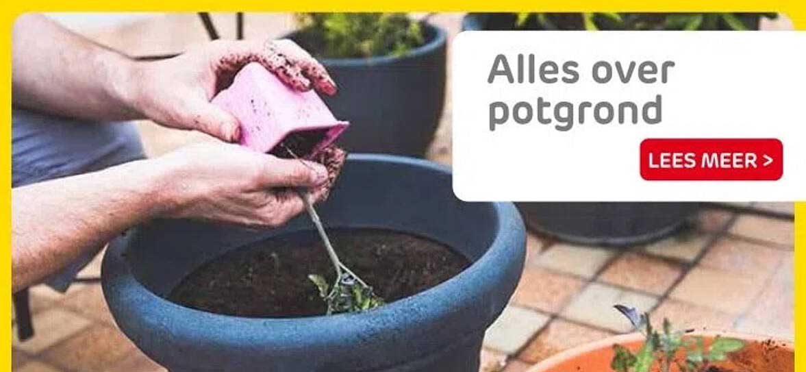 Alles over potgrond