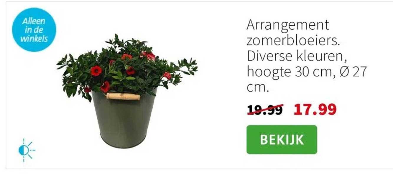 Arrangement zomerbloeiers. Diverse kleuren, hoogte 30 cm, Ø 27 cm.