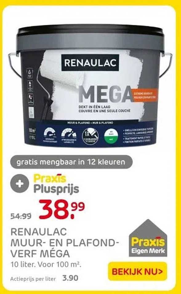 RENAULAC MUUR- EN PLAFONDVERF MÉGA