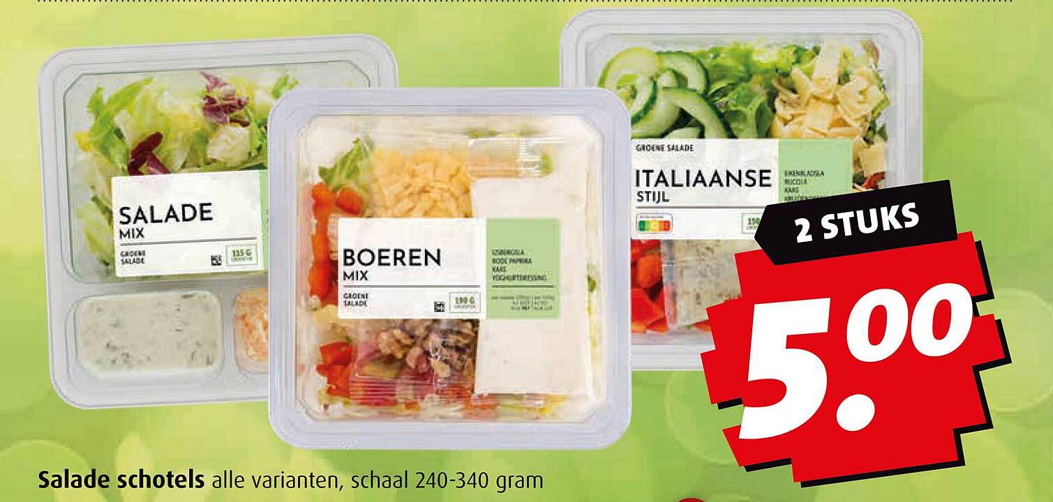 Salade schotels alle varianten, schaal 240-340 gram